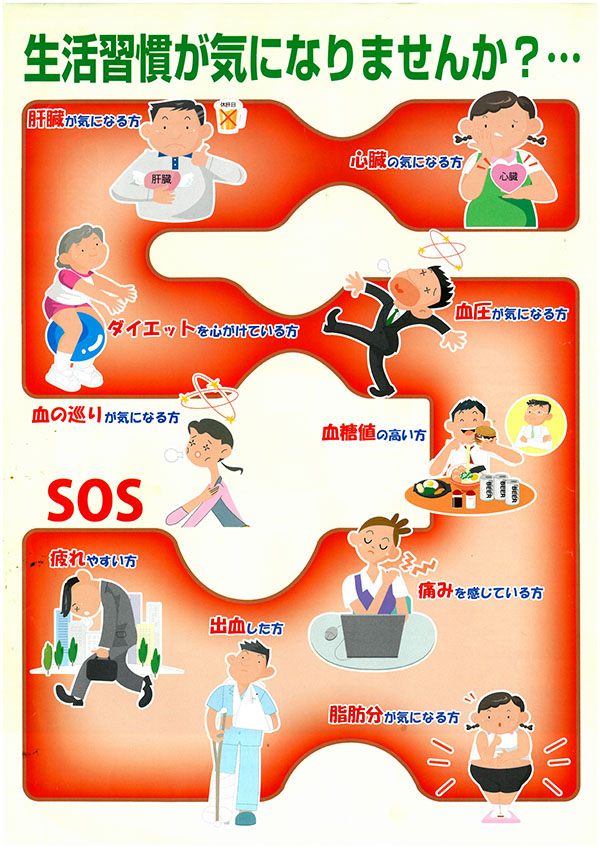 田七人参チラシ表