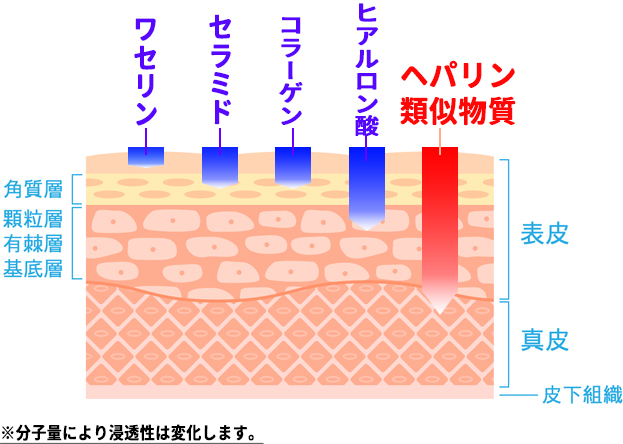 保湿成分の種類と特徴