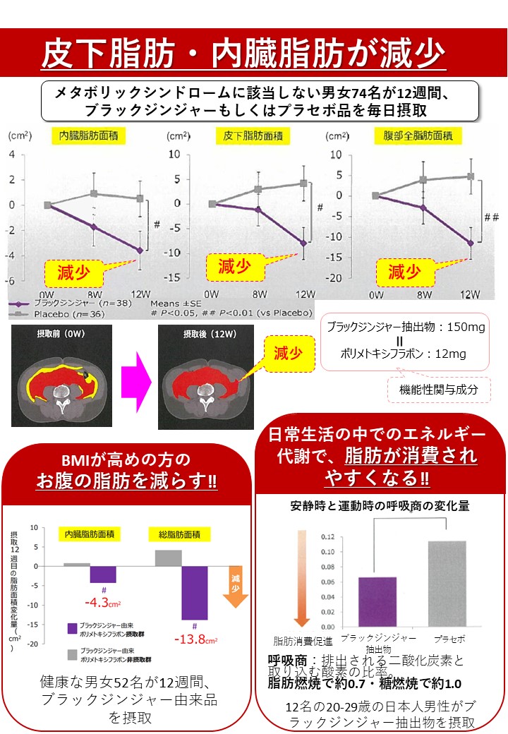 おなかサプリ2